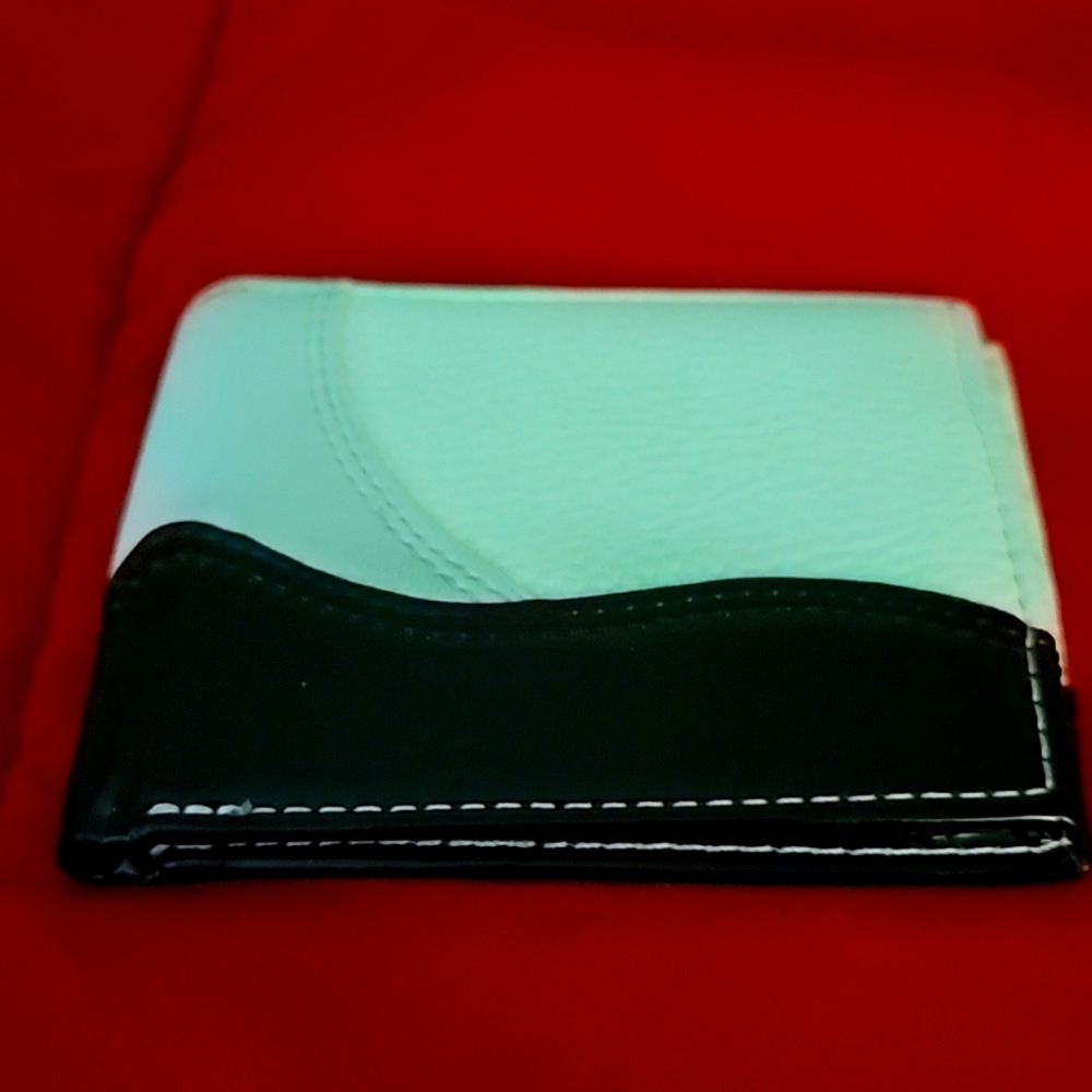 Custom Jordan 11 wallet (concord)